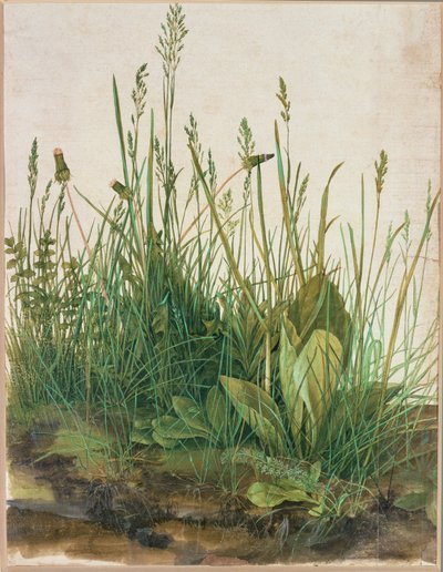 Großer Rasenstück von Albrecht Dürer or Duerer