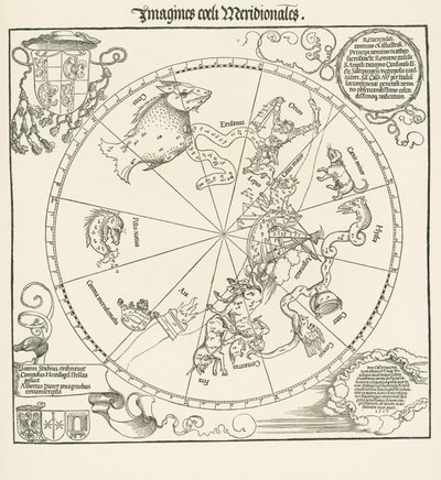 Die südliche Hemisphäre des Himmelsglobus von Albrecht Dürer or Duerer