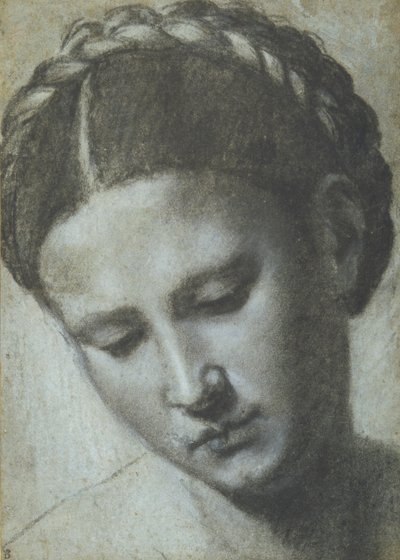 Kopf einer Frau mit geflochtenem Haar von Alessandro Bonvicino Moretto