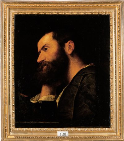 Porträt des Dichters Pietro Aretino, Brustbild, stützt seinen Kopf auf seine rechte Hand an einem Sims mit einer Pflanze von Alessandro Bonvicino Moretto