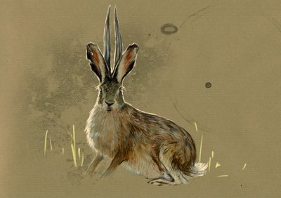 Fantastische Monster und Kreaturen, Kryptozoologie: Darstellung eines Jackalope, legendäres Tier halb Hase halb Antilope - Zeichnung von Alessandro Lonati, 2012 von Alessandro Lonati