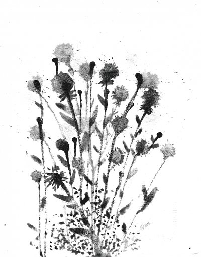 Abstrakte Tintenblüten von Alex Walsh