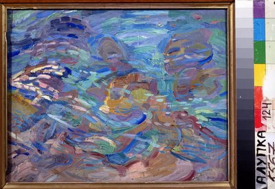 Steine im Wasser von Alexander Bogomazov