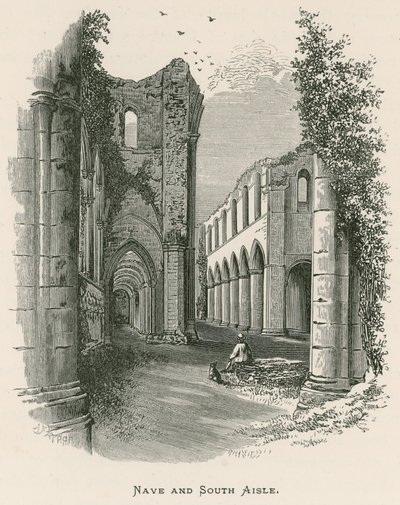 Fountains Abbey, Langhaus und Südschiff von Alexander Francis Lydon