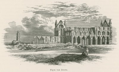 Whitby Abbey, von Süden von Alexander Francis Lydon