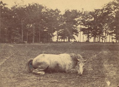 Ist das der Tod - Schlachtfeld von Antietam, September 1862, 1862 von Alexander Gardner
