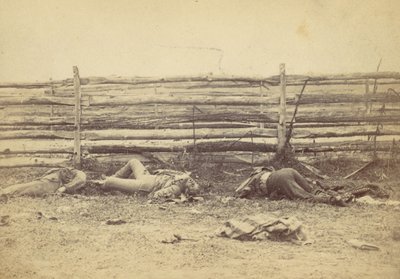 Ansicht im Feld, auf der Westseite der Hagerstown Road, nach der Schlacht von Antietam, 1862 von Alexander Gardner