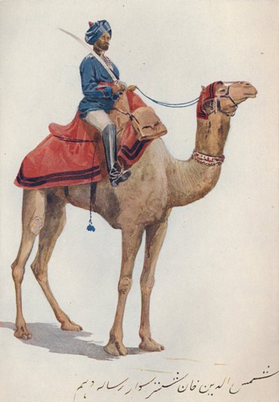 Ein Kamel-Sowar der 10. Bengal Lancers, c1880 1905 von Alexander Henry Hallam Murray