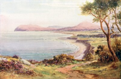  von Alexander Williams