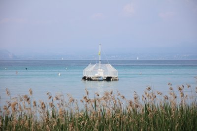 Ruhe am See von Alexandra Joseph