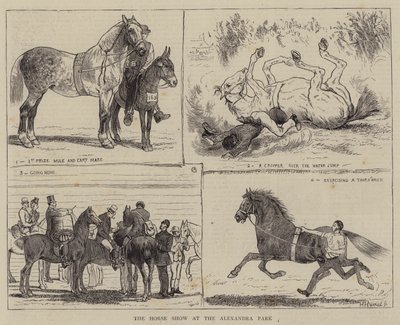 Die Pferdeschau im Alexandra Park von Alfred Chantrey Corbould