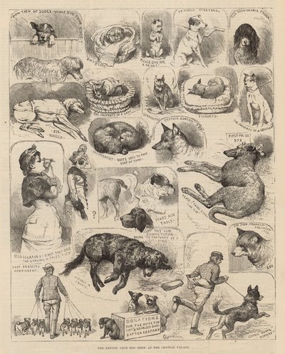 Die Hundeschau des Kennel Clubs im Crystal Palace von Alfred Chantrey Corbould