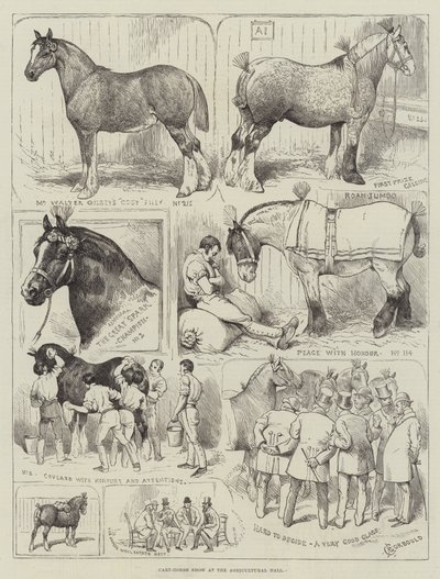 Kaltblutpferdeschau in der Landwirtschaftshalle von Alfred Courbould