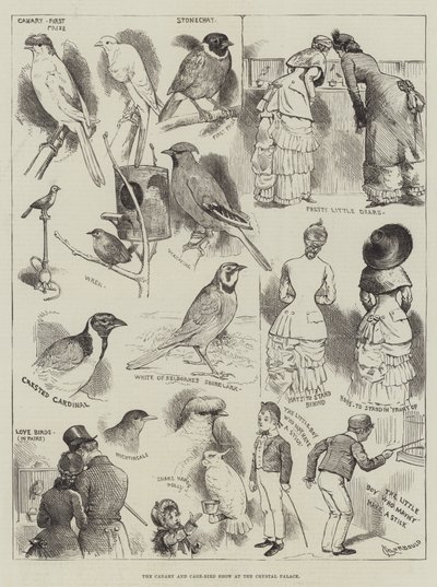 Die Kanarien- und Käfigvogel-Ausstellung im Crystal Palace von Alfred Courbould