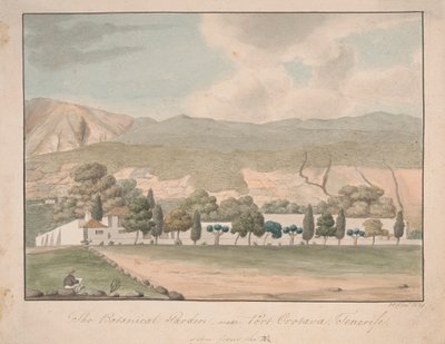 Der Botanische Garten bei Port Orotava, Teneriffa von Alfred Diston
