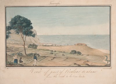 Blick auf einen Teil von Realesco de abasco von der Straße nach la Cruz Santa von Alfred Diston
