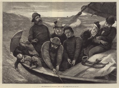 Die Pfingstferien, Leben auf der Ozeanwelle von Alfred Edward Emslie