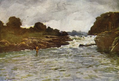 Kathleens Wasserfälle, Ballyshannon von Alfred Heaton Cooper