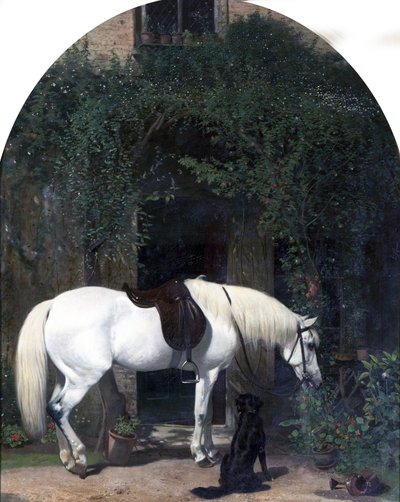 Weißes Pferd und Retriever von Alfred Hichens Corbould