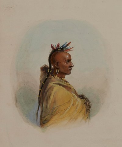 Kopf eines Sioux von Alfred Jacob Miller