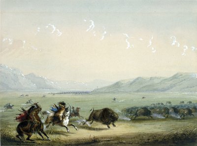 Laufender Büffel von Alfred Jacob Miller