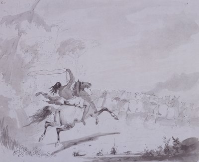 Das Lasso werfen, ca. 1837 von Alfred Jacob Miller