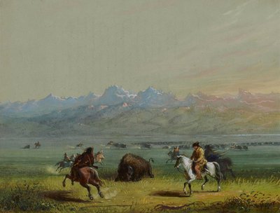 Verwundeter Büffel von Alfred Jacob Miller