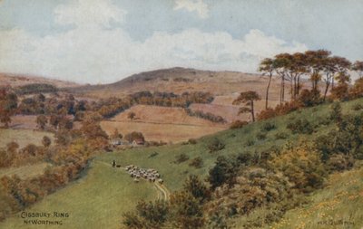 Cissbury Ring bei Worthing von Alfred Robert Quinton