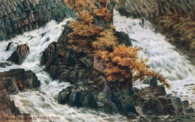 Conway Wasserfälle, bei Bettws-y-Coed von Alfred Robert Quinton