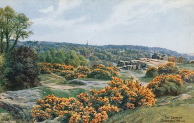 The Common, Tunbridge Wells von Alfred Robert Quinton
