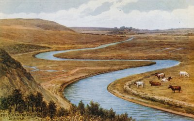 Das Cuckmere-Tal, Seaford von Alfred Robert Quinton