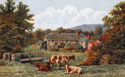 Die alte Mühle, Lyme Regis von Alfred Robert Quinton