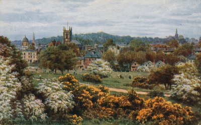 Tunbridge Wells vom Gemeindeland von Alfred Robert Quinton