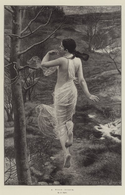 Eine Waldnymphe von Alfred Seifert