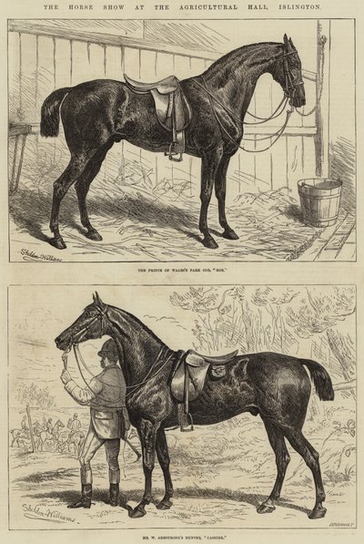 Die Pferdeschau in der Agricultural Hall, Islington von Alfred Sheldon Williams