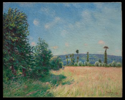 Die Wiesen von Sahurs in der Morgensonne von Alfred Sisley