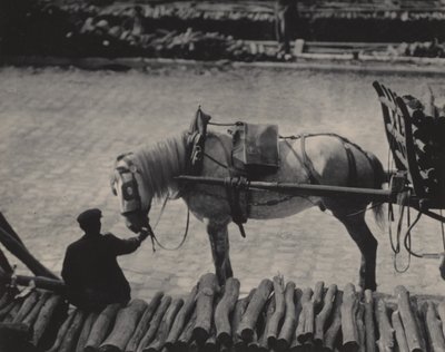 Ein Schnappschuss, Paris von Alfred Stieglitz