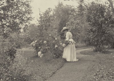 In Oaklawn von Alfred Stieglitz
