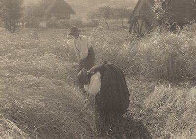 Früher Morgen von Alfred Stieglitz