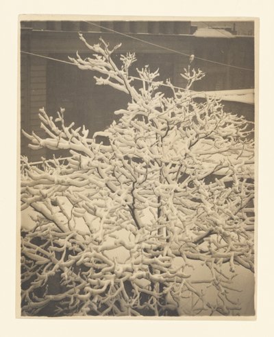 Vom Hinterfenster von 291 von Alfred Stieglitz