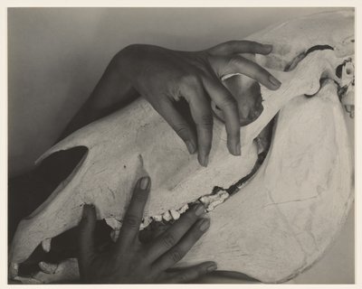  von Alfred Stieglitz