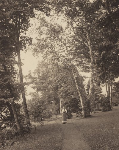 Hedwigspfad, Oaklawn, Lake George von Alfred Stieglitz