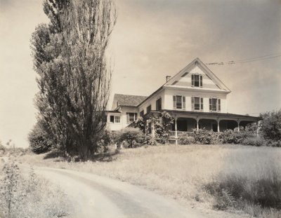 Haus und Pappeln, Lake George von Alfred Stieglitz