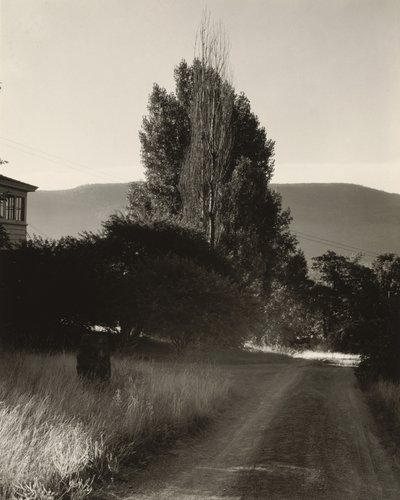 Haus und Pappeln, Lake George von Alfred Stieglitz