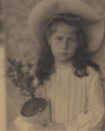Kitty—Blumentopf von Alfred Stieglitz