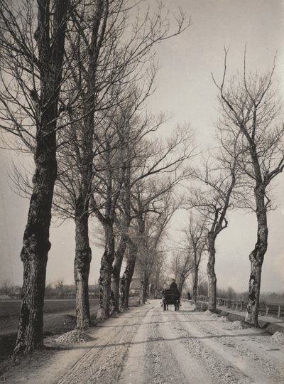 Novembertage von Alfred Stieglitz