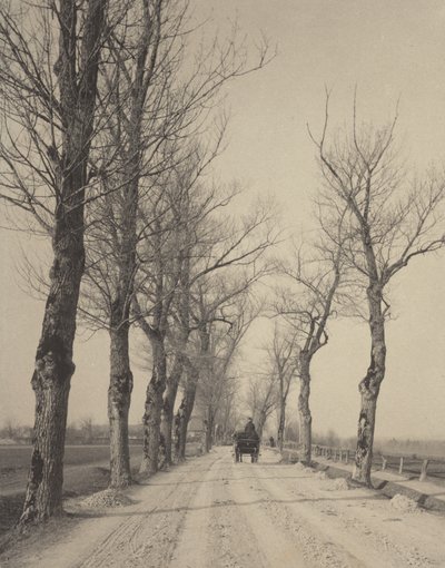 Novembertage von Alfred Stieglitz