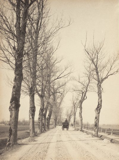 Novembertage von Alfred Stieglitz