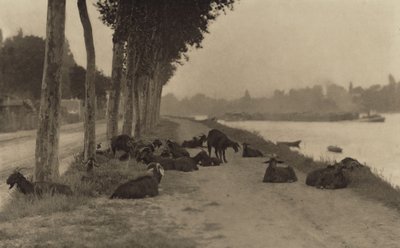 An der Seine—Nahe Paris von Alfred Stieglitz