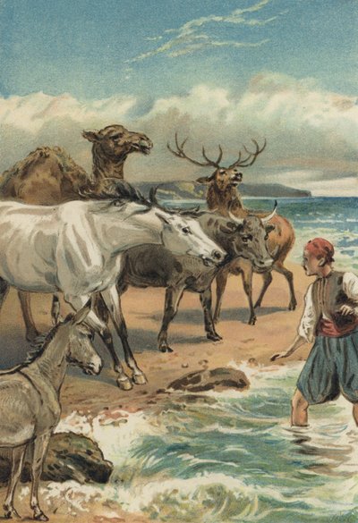 Arabische Nächte: Die Geschichte von Beder und Giauhare von Alfred W. Cooper